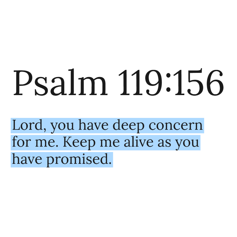 Holy Bible tweet media