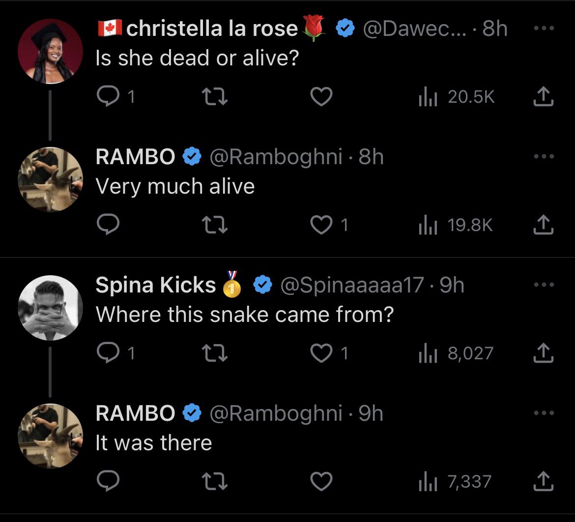 paige : STORIES 3 HYPE!! tweet media