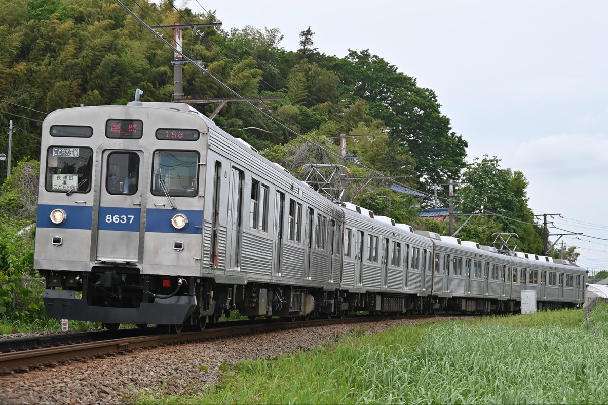 チャーハン tweet media