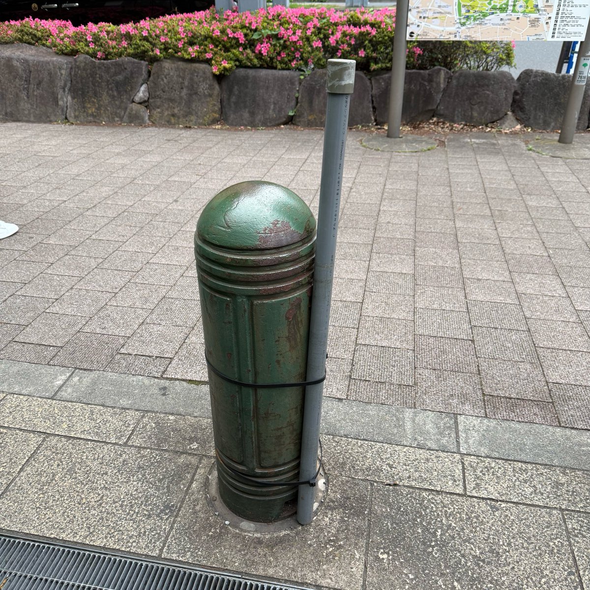 ひろいぬ tweet media