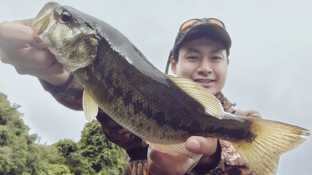 FishingInb's tweet photo. 三島湖！〜10:00という短い釣行でした！
ほぼほぼ野良ネズミやり切りで終了！トップ楽しい！！
そして金曜日は珍しく片倉を計画中！
#TIEMCO
#野良ネズミ
#三島湖
#房総リザーバー
#バス釣り https://t.co/F7jsd5Vn3N