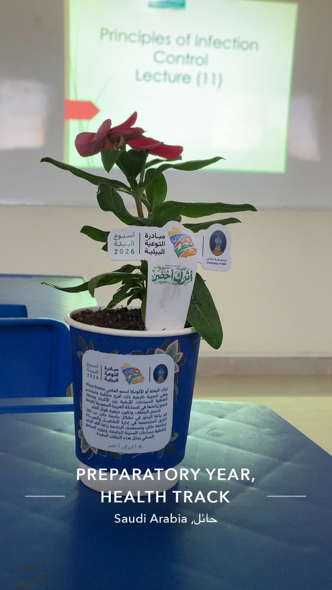 ؟! tweet media