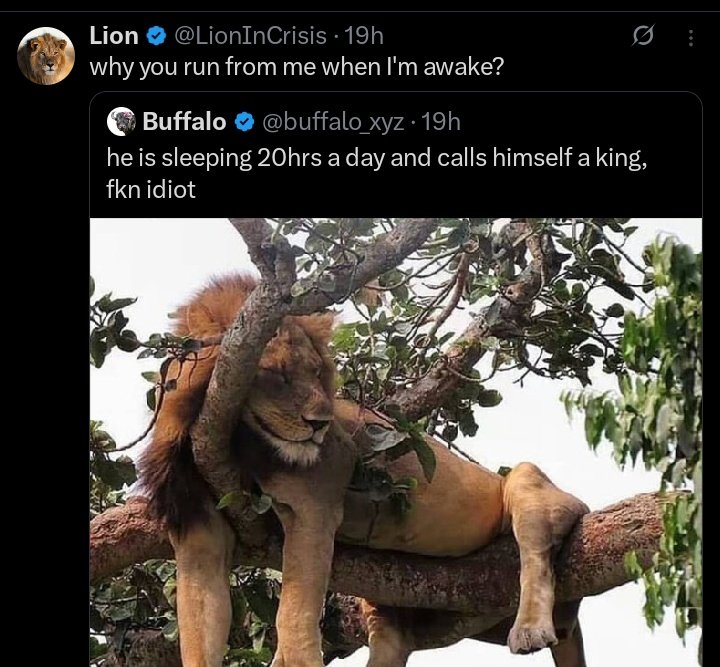 𝗨𝗲𝘀𝗯𝗼𝘆 ⭐ tweet media