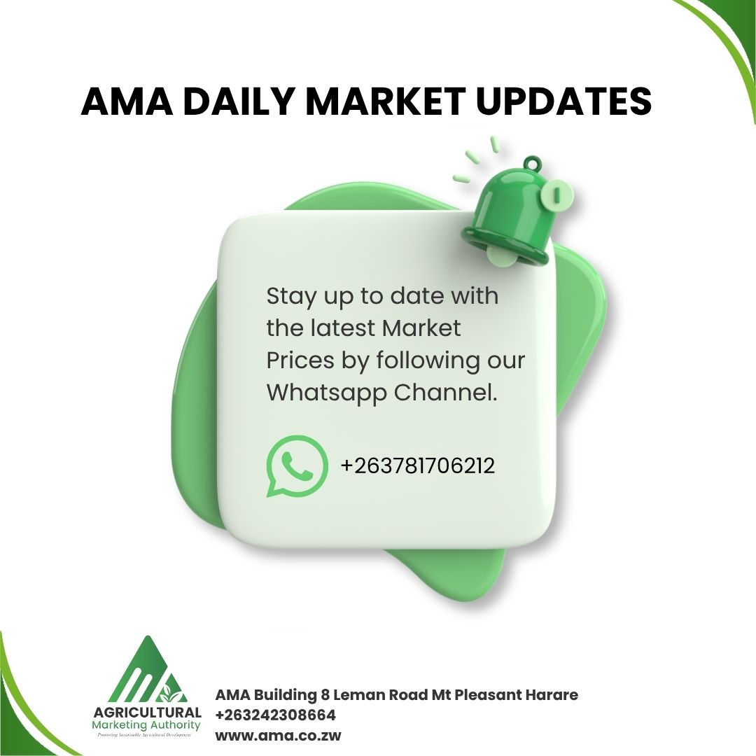 AMAofficial_zim's tweet photo. 📡Stay Ahead of the Market!
Don’t miss out on daily market price updates and insights delivered straight to your phone.

Follow the Agriculture Marketing Authority Zimbabwe channel on WhatsApp: https://t.co/NP5MvbJKJn https://t.co/DZvexKRaYD