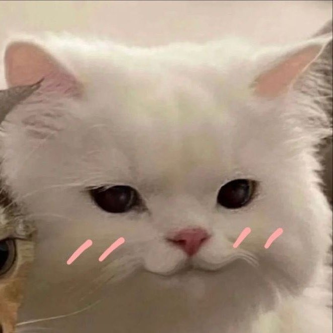 ✨🦋ท่านหยิ๋ง🪼✨ tweet media