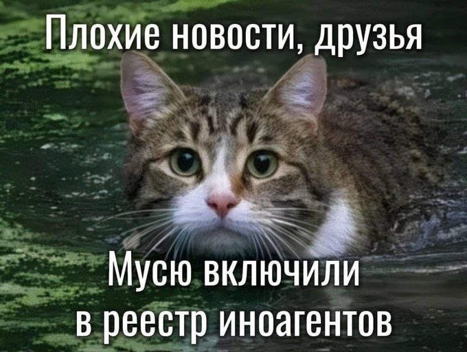 Nickro (@nickro666) on Twitter photo 