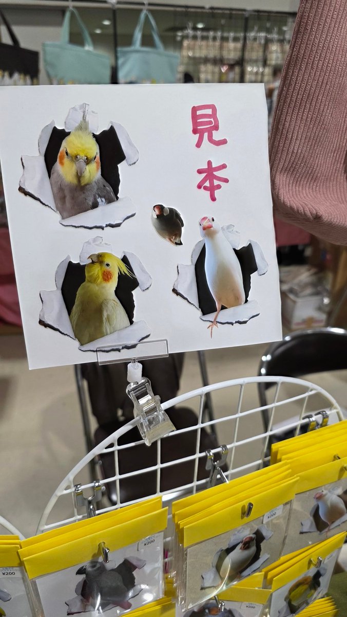 お騒がせインコストーリー@元0611okameinko tweet media