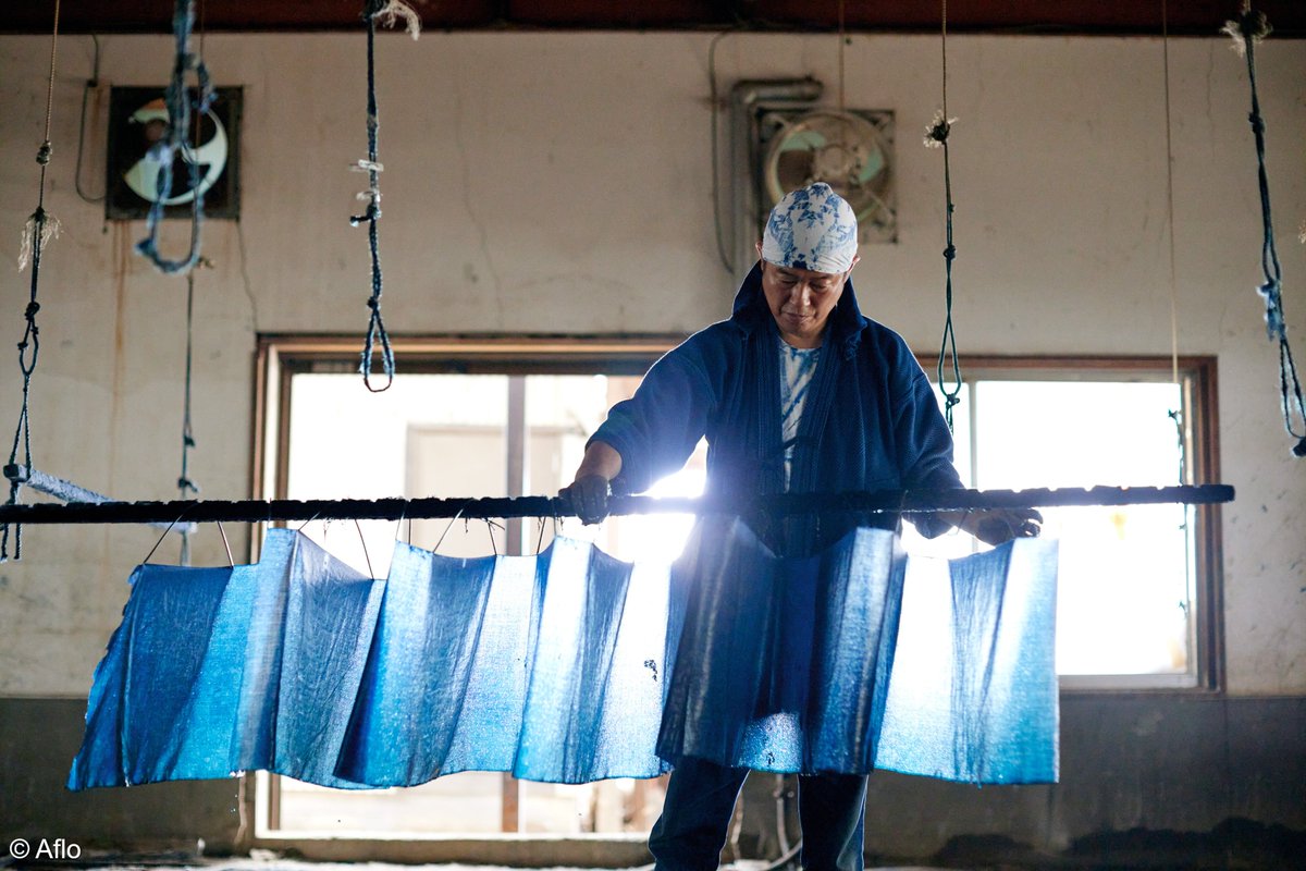 AmbJaponFR's tweet photo. #Artisanat 🧶| L’ « aizome » est la teinture traditionnelle japonaise à l’indigo, célèbre pour son bleu profond et vivant. 

Issue de feuilles d’indigotier fermentées, elle est surtout produite à Tokushima, berceau de cette couleur unique qu’on appelle le « Japan Blue »💙🗾 https://t.co/lFKsxEVmYz
