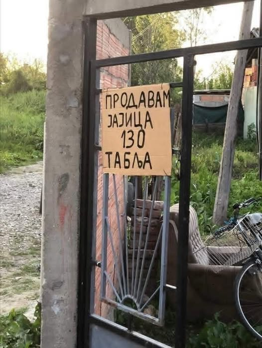 GoceOdPrilep tweet media
