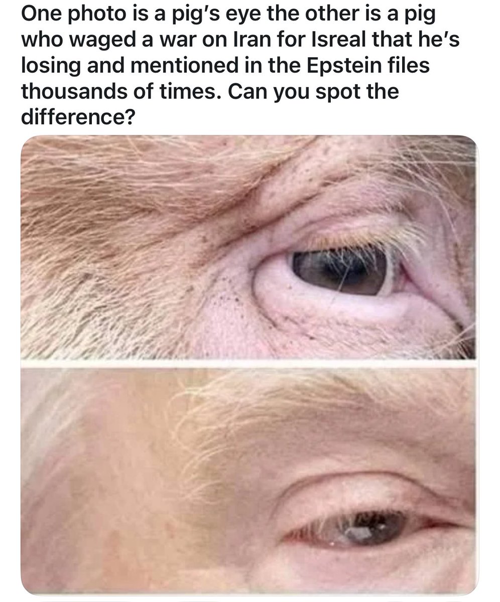 it_evangelist's tweet photo. @MartyOqan He’s the worst and he’s a pig… https://t.co/WMxBWxSEsE