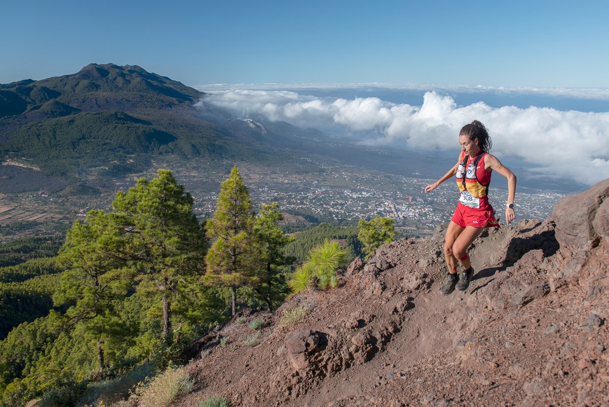 Visitlapalma_de tweet media