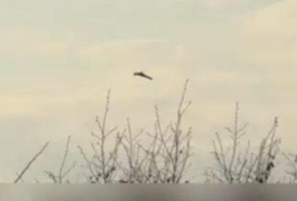 Bilder der ersten Stunden des Waffenstillstands zwischen Russland und der Ukraine, den Wolodymyr Selenskyj für ab heute einseitig ausgerufen hat.

Dann aber nicht rumheulen, wenn Moskau in 3 Tagen genau so aussieht, weil auch Putins einseitig ausgerufene Waffenruhe nichtig ist.