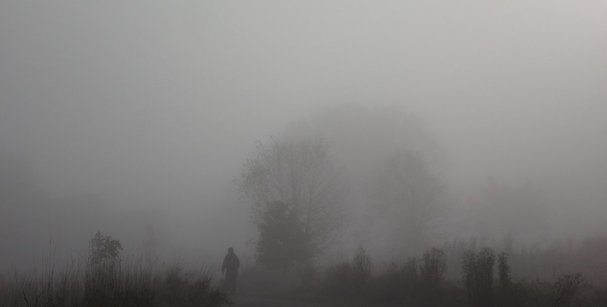 602Shaffer's tweet photo. @DailyPicTheme2 When the fog #envelopes everything... https://t.co/xItlDZOrZg