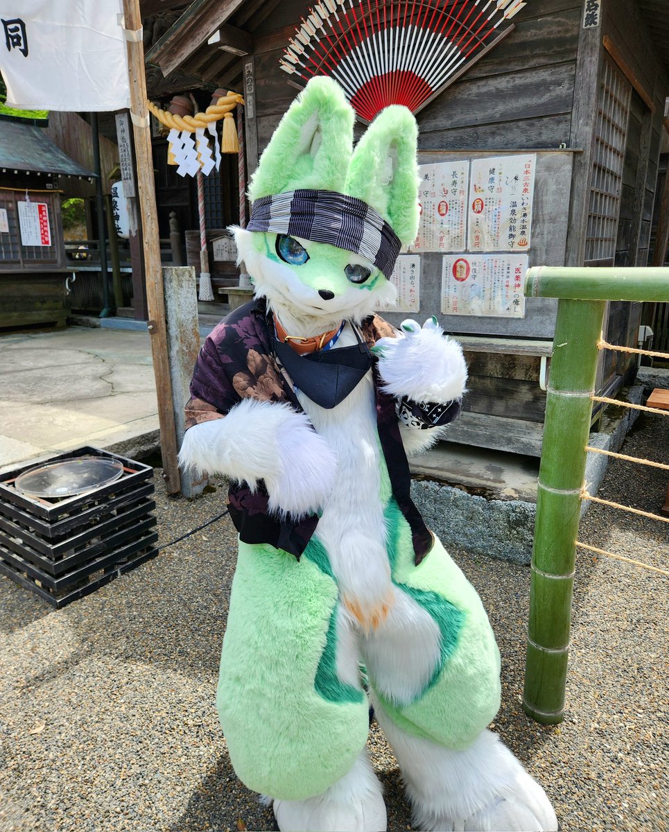 みどる tweet media