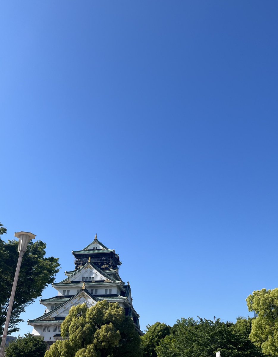 もぐ太 tweet media