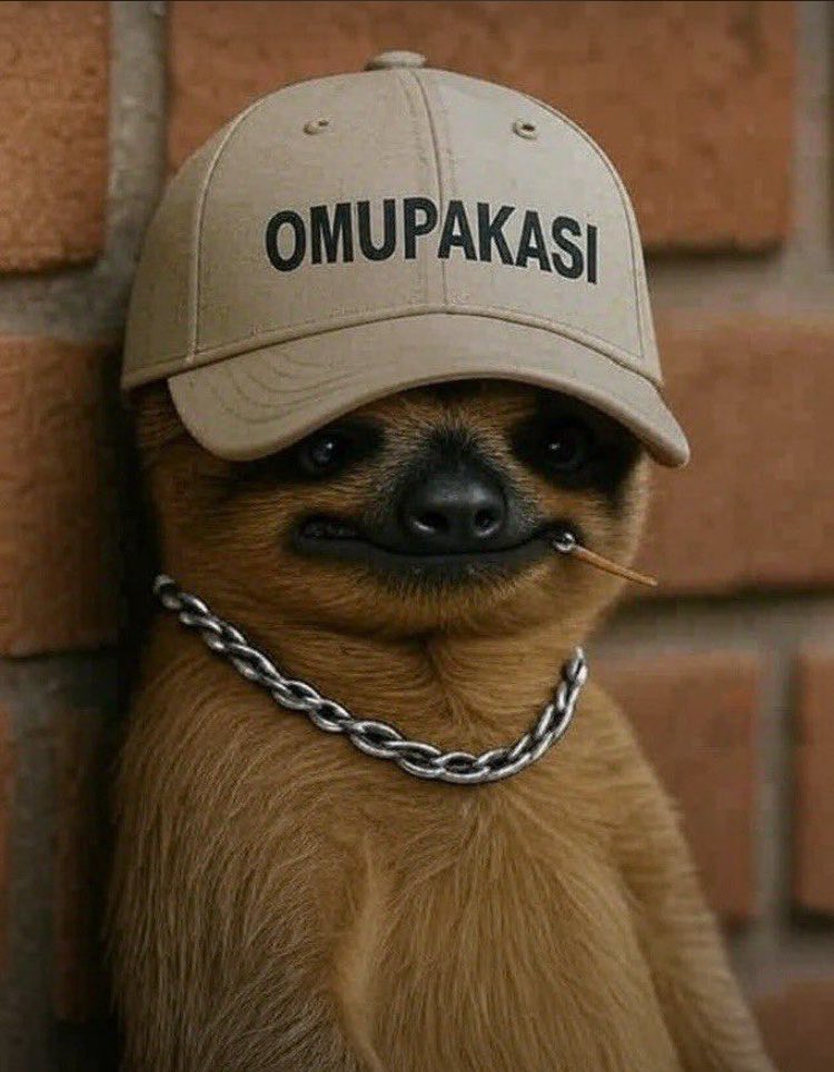 Omupakasi tweet media