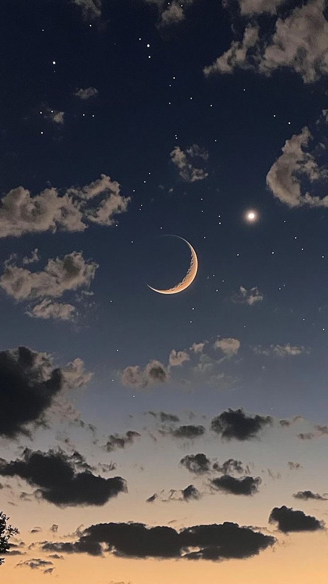 Moon News (@moondailys) on Twitter photo 