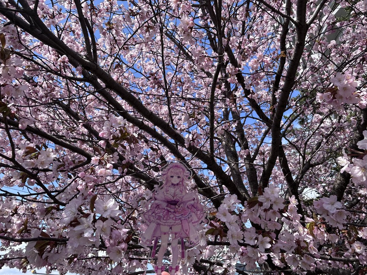 宇宙亭グリーヴァス零将🐱🎀🧪|🐚 |🌃 |⛓️♦️|😪|🐱🎨|⚰️❣️|💎🛐 tweet media