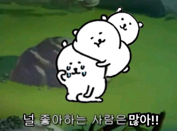 김주현을변기에넣고서내려 tweet media