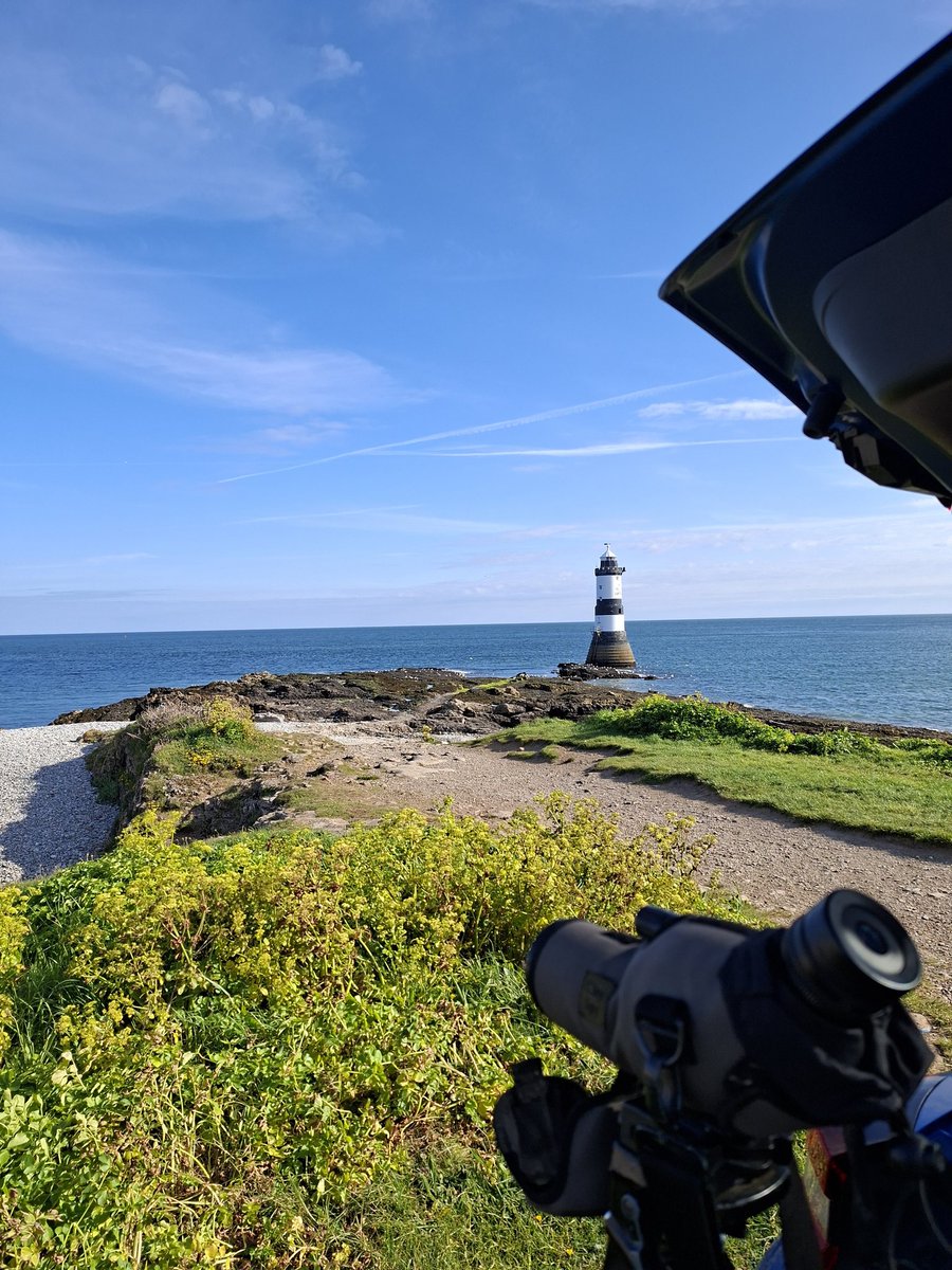 Long Nab Birder tweet media