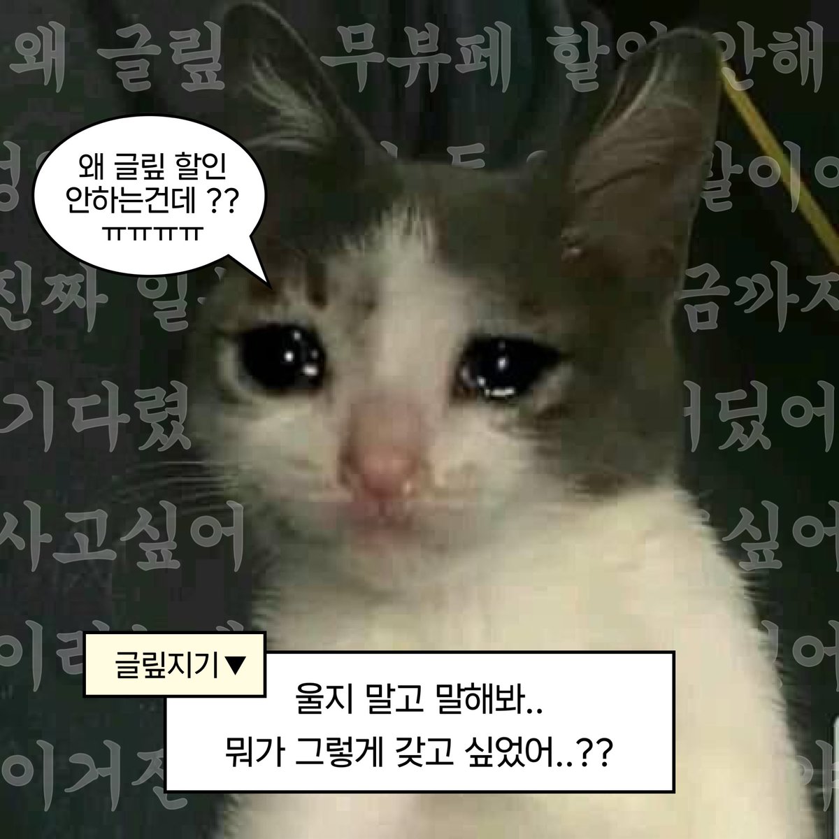 GLYF 글맆 tweet media