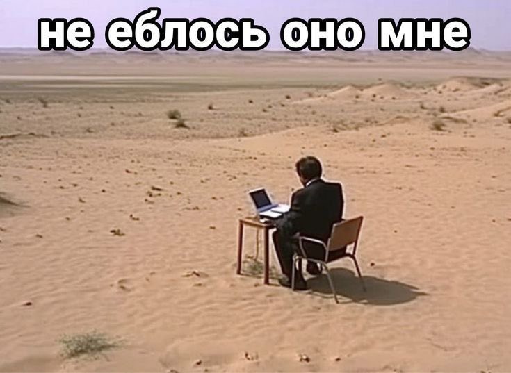 Liberumbetta's tweet photo. Рабочий вайб https://t.co/NUrfRaJju5