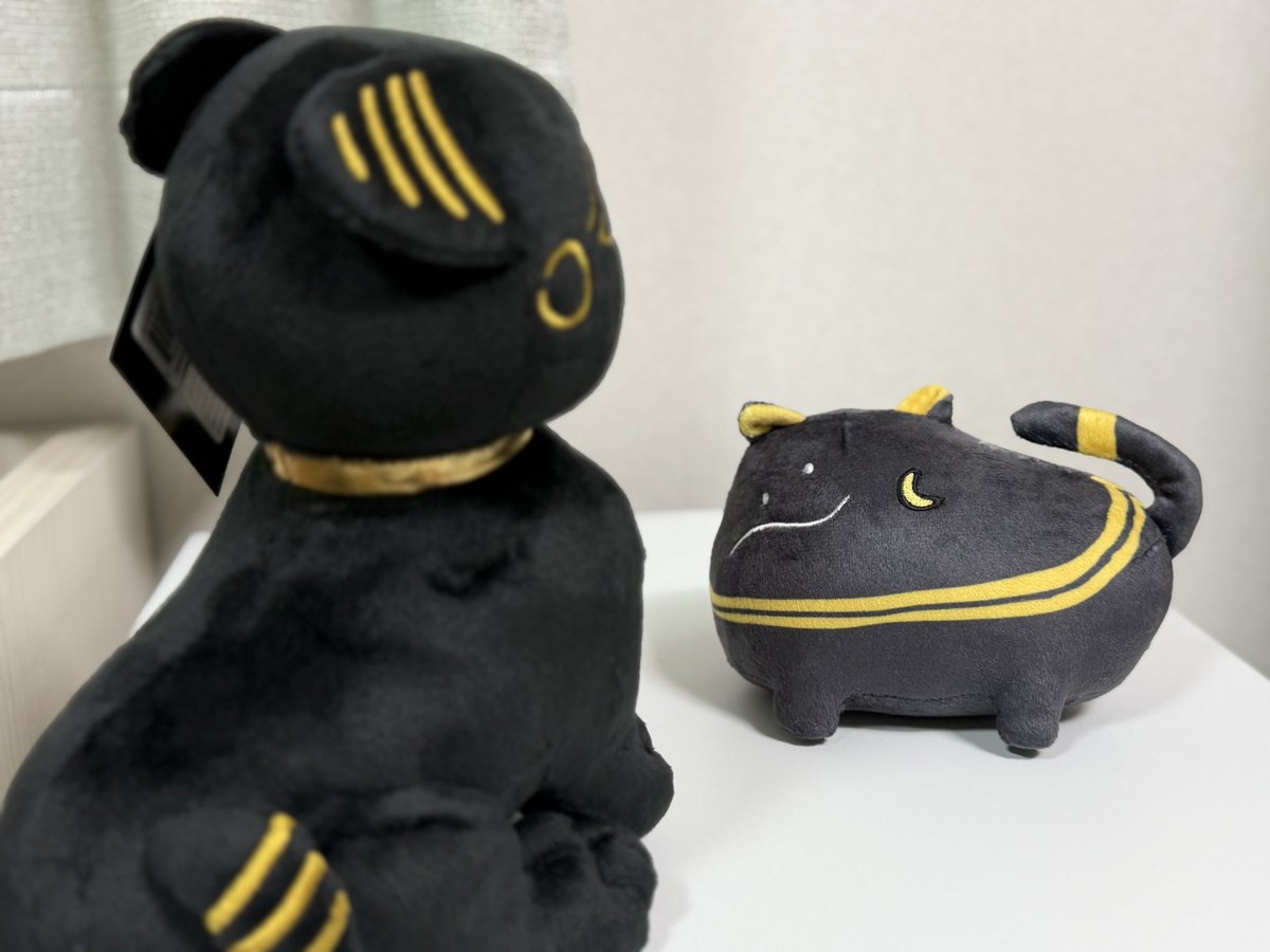 セリン🐈‍⬛🦐 tweet media