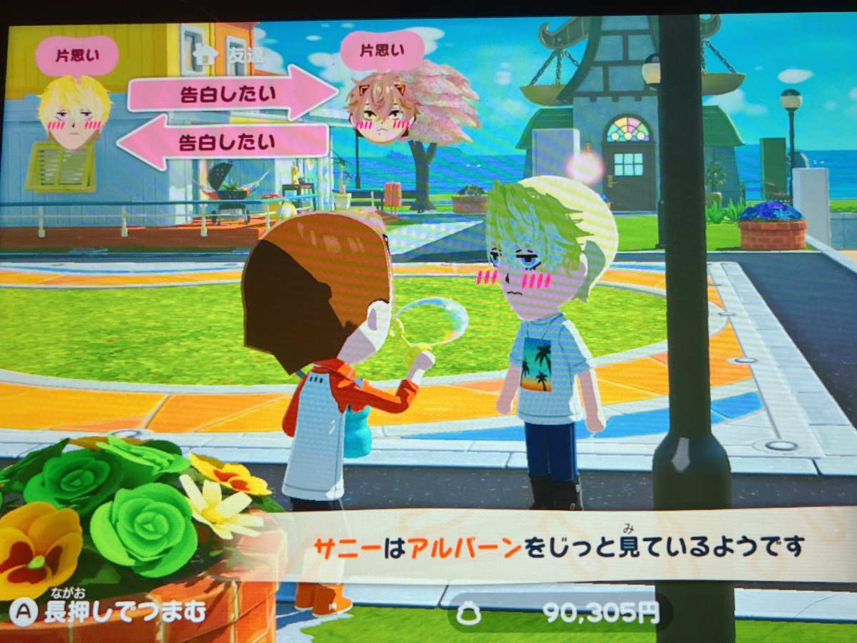 Mii♡˖꒰ᵕ༚ᵕ⑅꒱様　確認用 うちの島の🟡miiも🟠くんが蝶の精に見えるって言ってて可愛かった