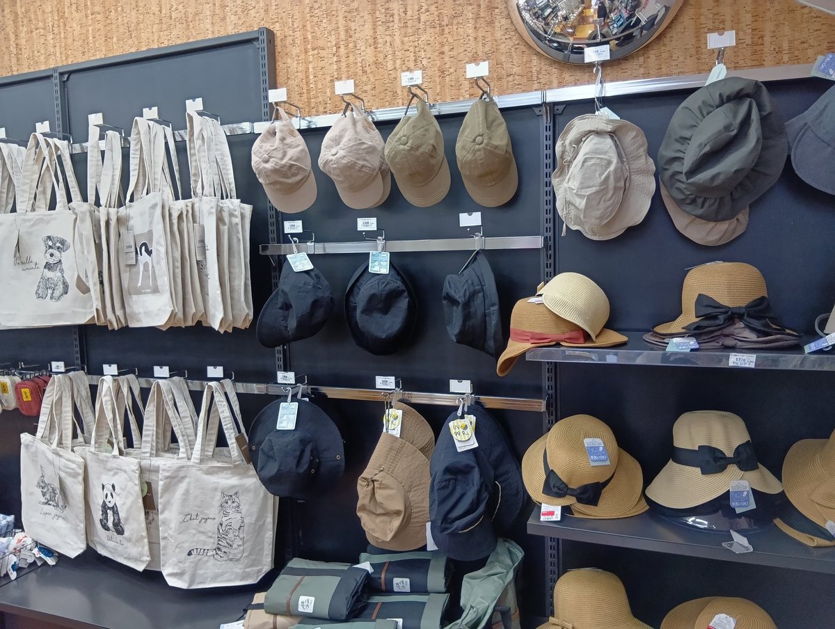 TSUTAYA函南店 tweet media