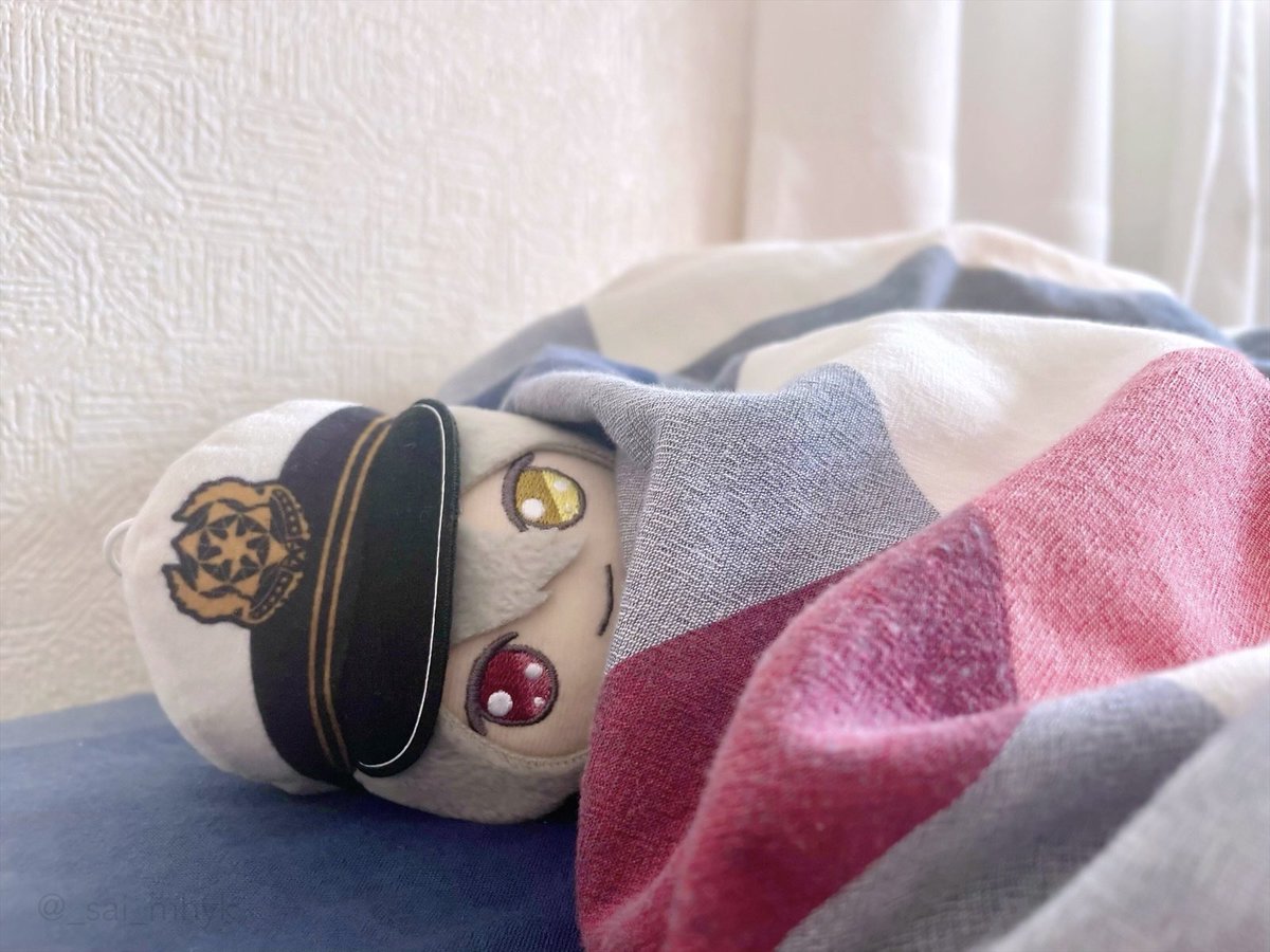 _sai_mhyk's tweet photo. 🧳ねぇ 連休が終わるってどんな気持ち？

#まほやく_ぬい https://t.co/9TIChYs8DO