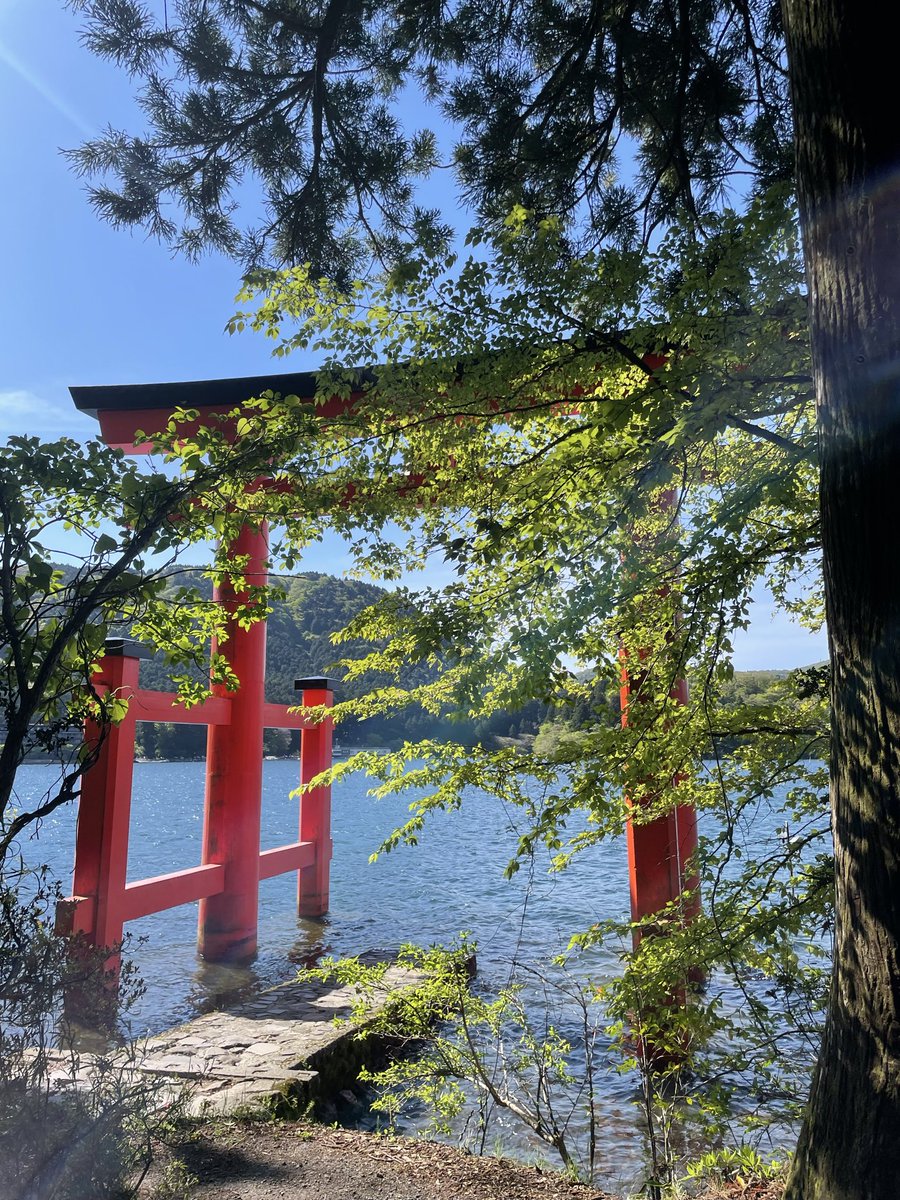 TravelMemonu's tweet photo. GWは箱根神社へいってきました。

朝早く行ったにも関わらず、平和の鳥居は写真撮影の列ができてて驚きです。

映え写真撮るのは諦めて、列の傍から人の交代タイミングで撮りました。 https://t.co/0LDGAcpbEh