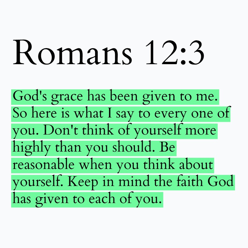 Holy Bible tweet media