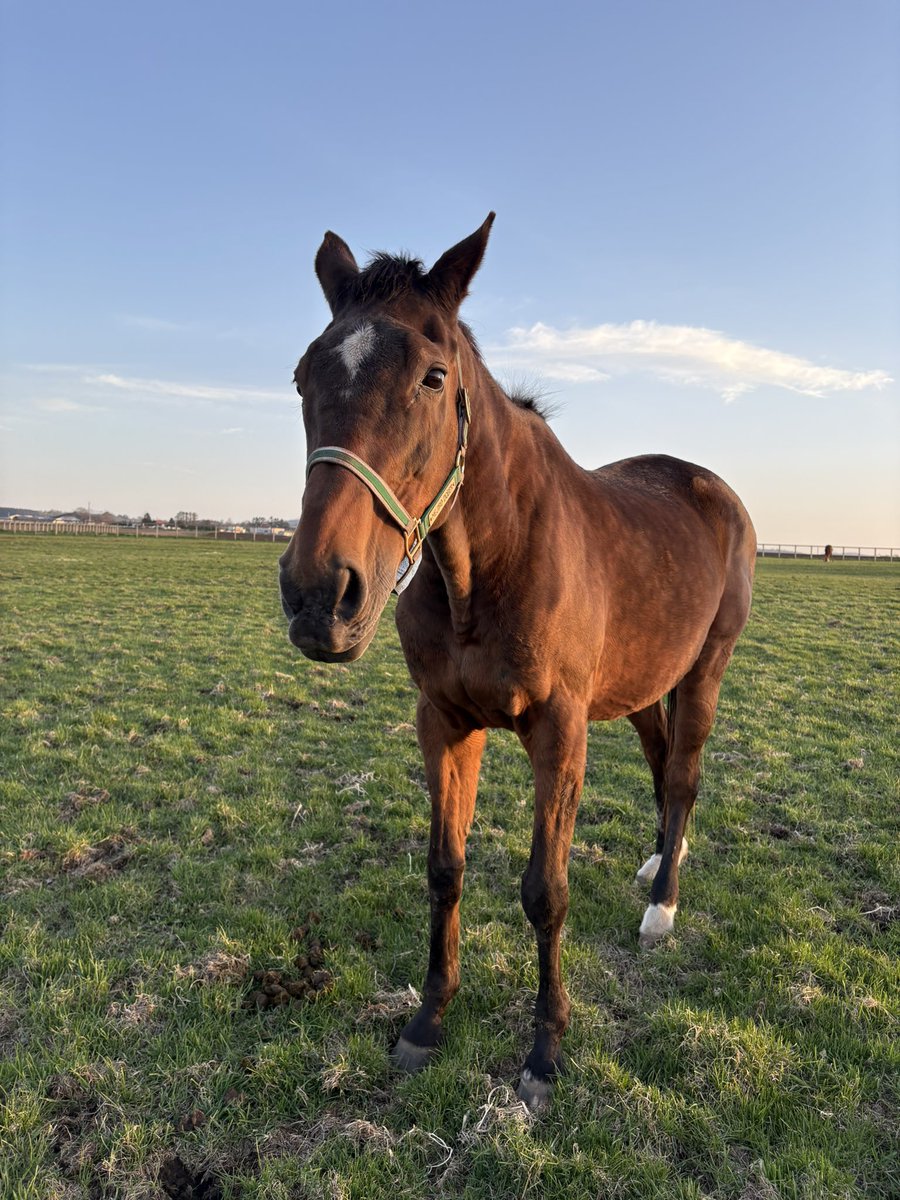 LakeVillaFarm tweet media