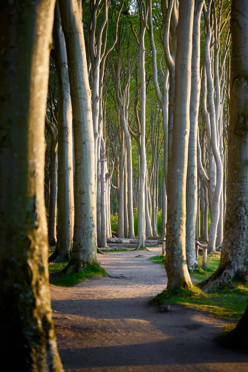 xlix's tweet photo. Stop looking for the path. Let the path find you. https://t.co/HrgUSTMNPA