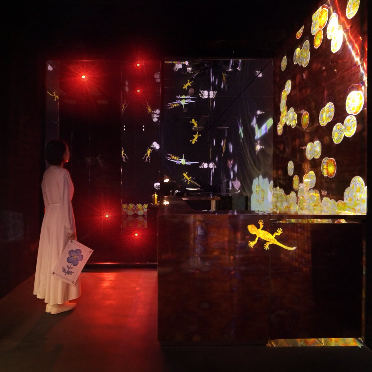 チームラボ プラネッツ teamLab Planets TOKYO tweet media