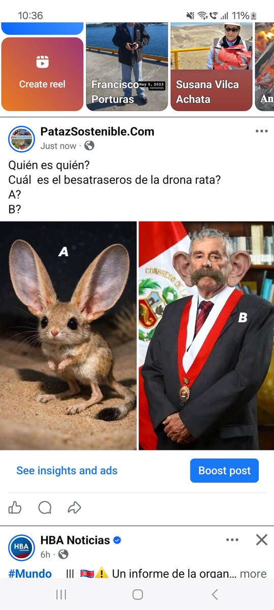 Francisco Porturas tweet media