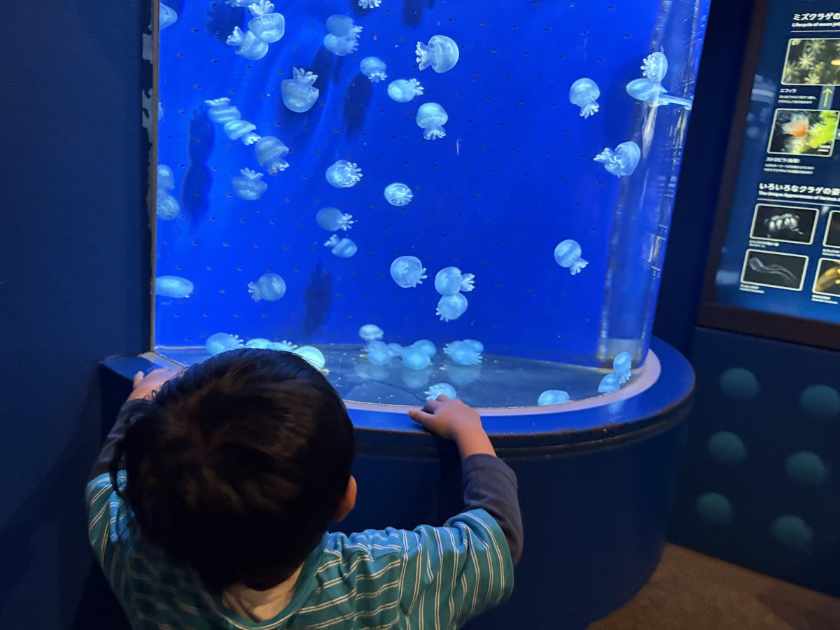hellontk3's tweet photo. GW最終日は水族館！
入館開始時にはいって、11:00には出た！笑
その後マック行って終わってもう自宅に帰ってきた。早すんぎぃ。でも子は車で寝てくれてありがたいことに1人時間🥺 https://t.co/dm5BlR5B0H