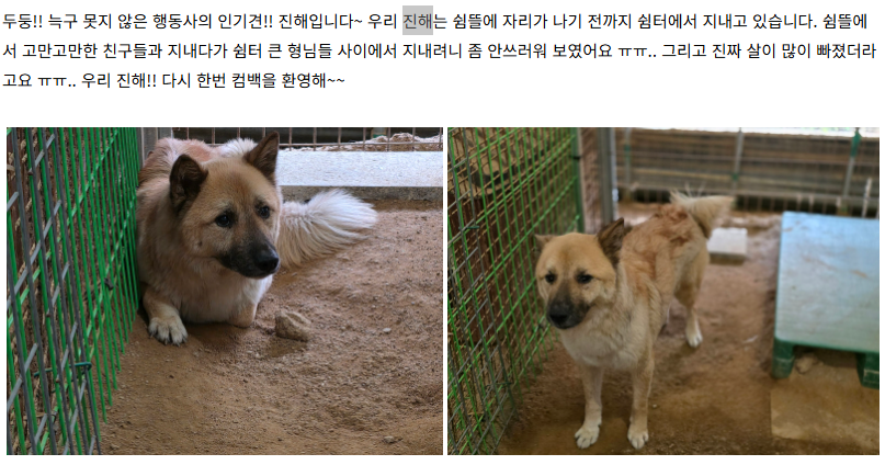 강보ㄹ| tweet media