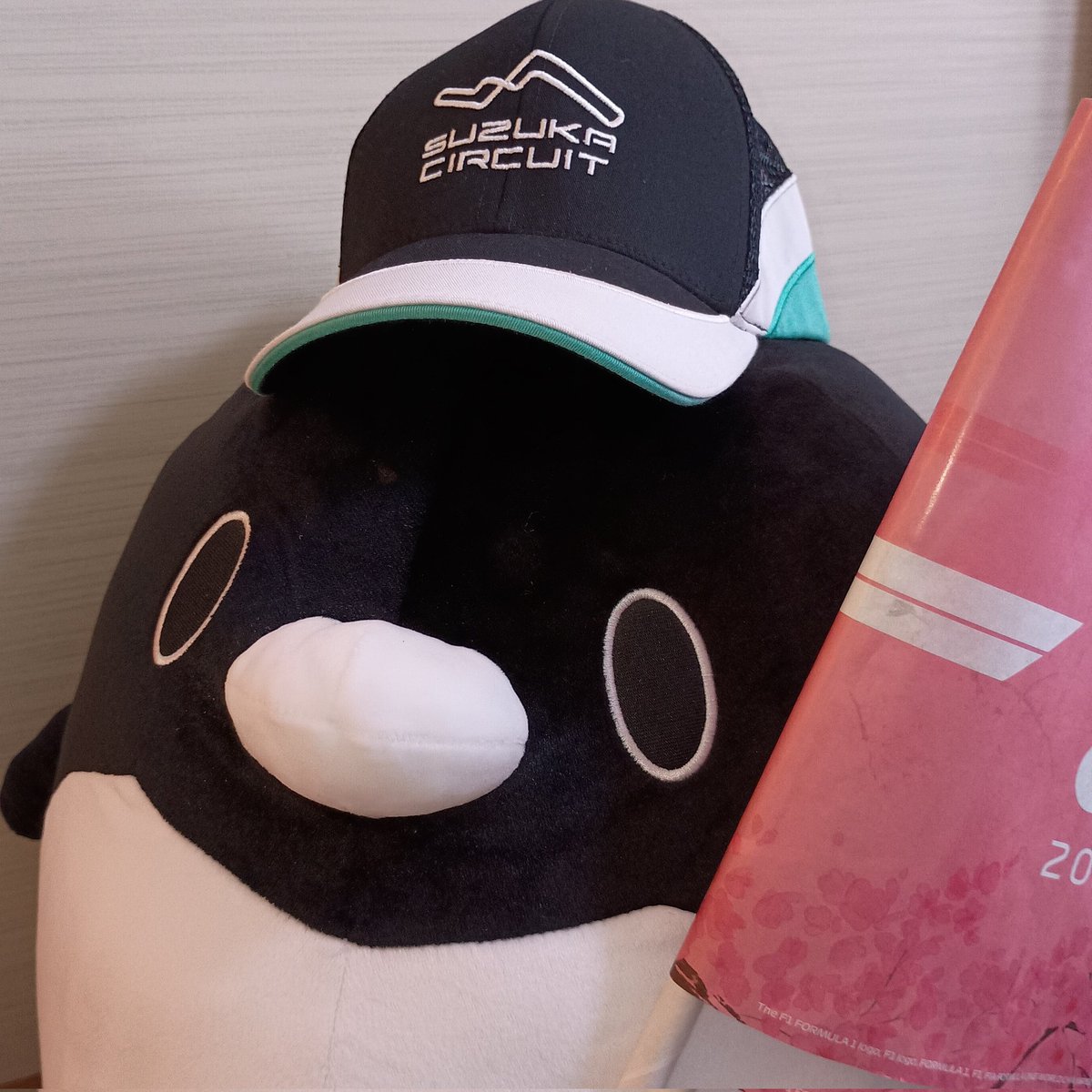 ひでペン(お天気ペンギン) tweet media