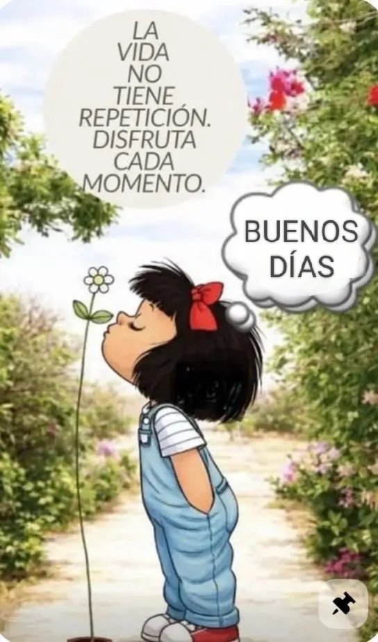 Maribel tweet media