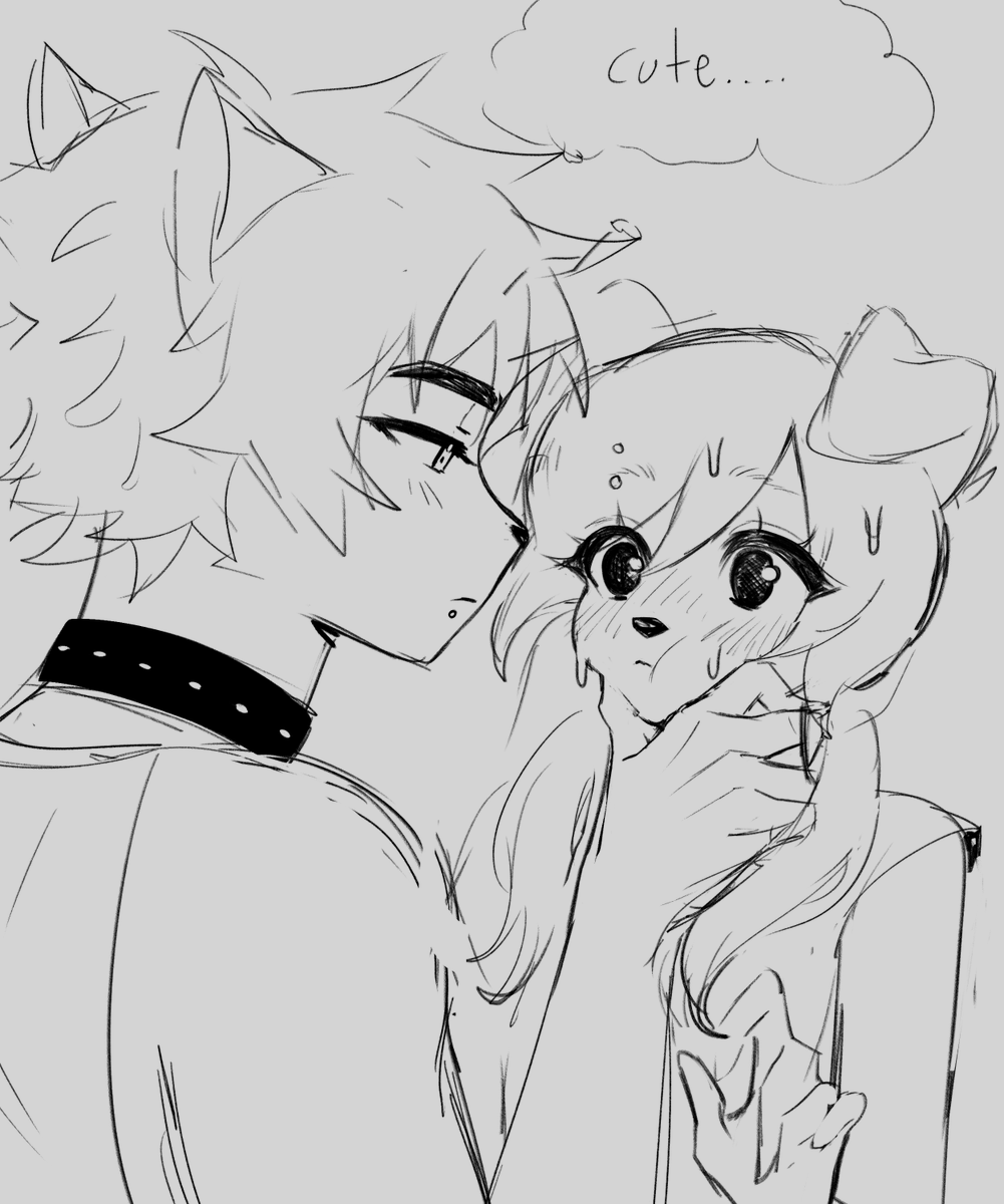 catnyom's tweet photo. oc's 

#furry #furrynsfwart #furrymeme https://t.co/l2oHzcTfiw
