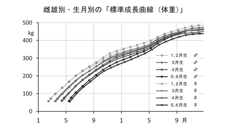 JBBAの標準馬体重