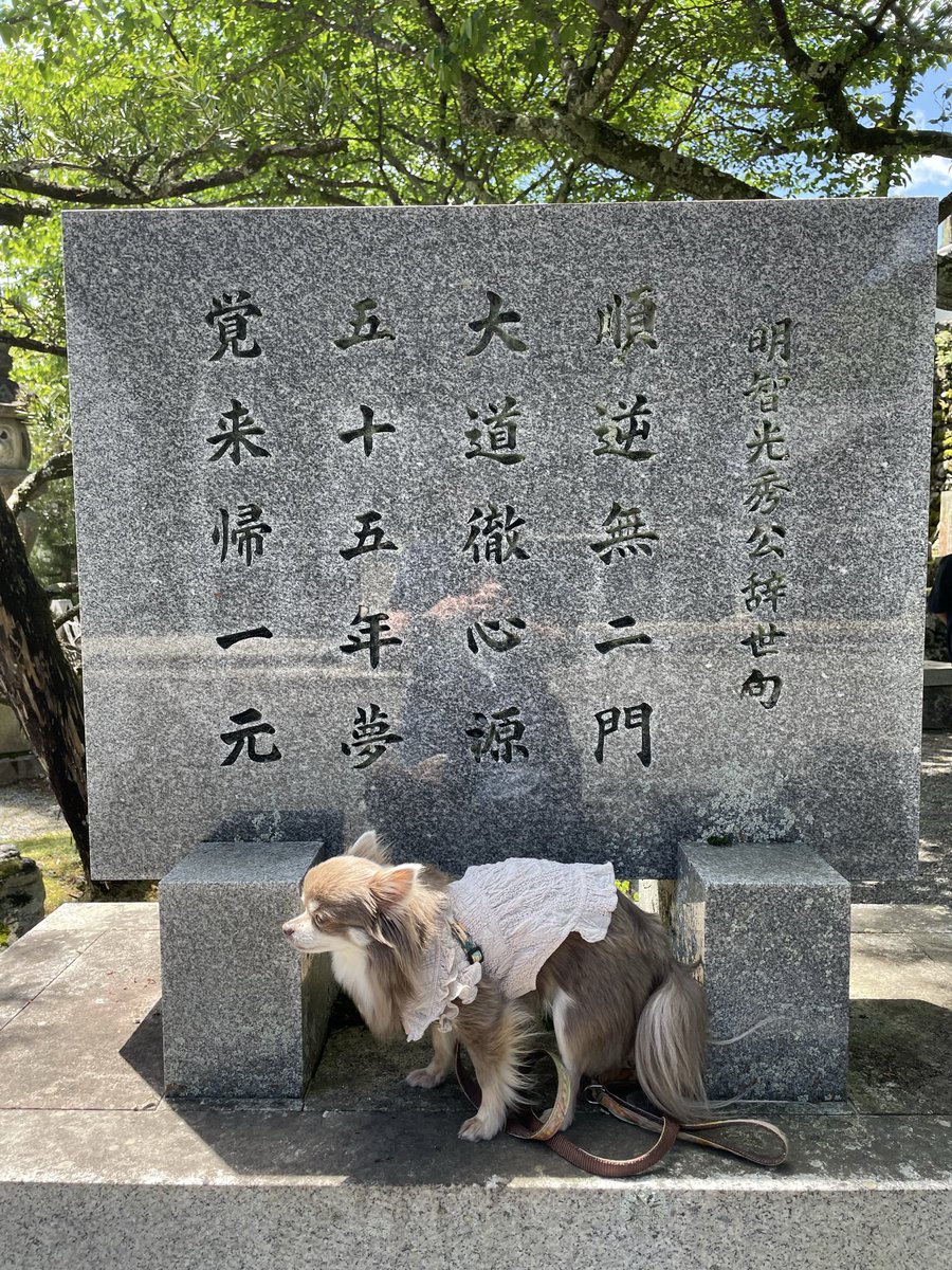 Aobyebye1's tweet photo. 明智藪と明智光秀胴塚
山崎の合戦の後、坂本城に撤退しようとしたんだろうな。
光秀の辞世の句が西教寺にあったけど、死に際して悟りの境地だったとのこと。 https://t.co/c7kiXJsz8M