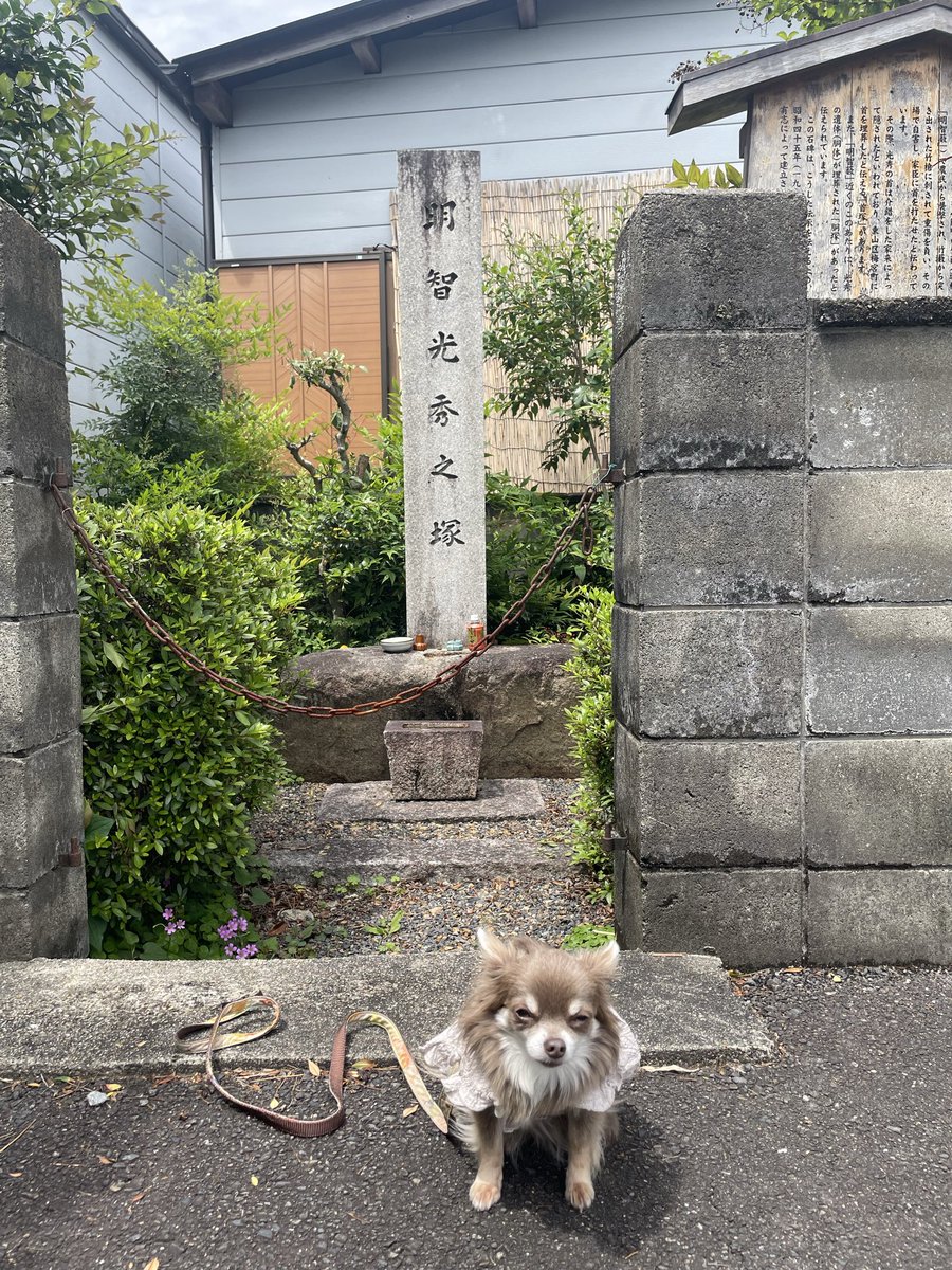 Aobyebye1's tweet photo. 明智藪と明智光秀胴塚
山崎の合戦の後、坂本城に撤退しようとしたんだろうな。
光秀の辞世の句が西教寺にあったけど、死に際して悟りの境地だったとのこと。 https://t.co/c7kiXJsz8M