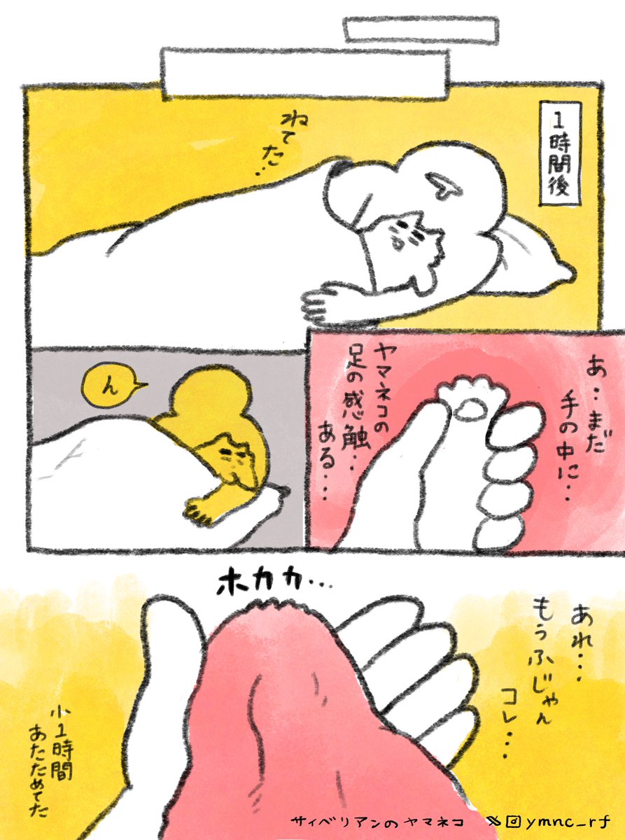ヤマネコ tweet media