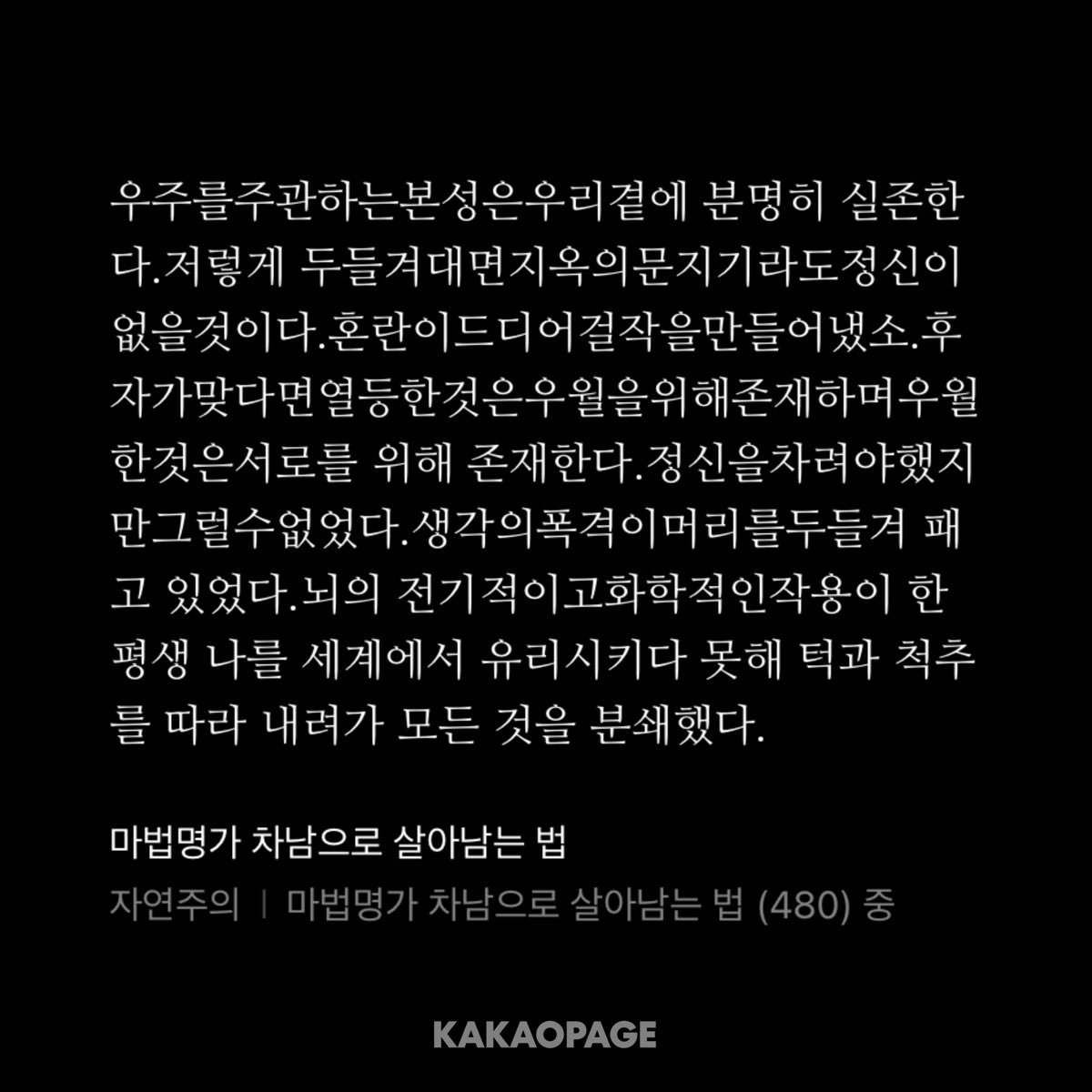 아니어떡해뭔데