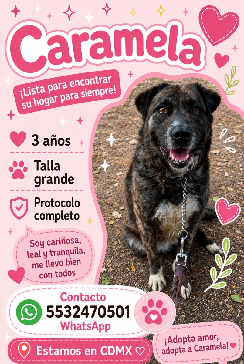 Caramela busca una familia.💖

Date la oportunidad de conocerla,estamos seguros que quedaras enamorado de ella.💘

Caramela necesita un hogar,y mucho amor.🥰 
Estamos en CDMX.
Si no puedes adoptarla,ayúdanos a compartir.
