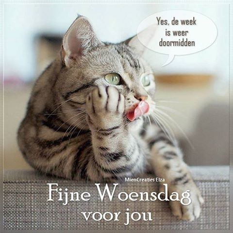 🌞Henk🏖 tweet media