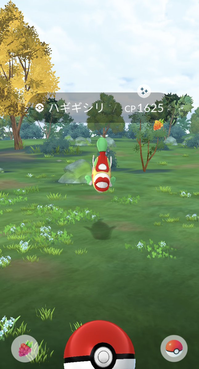 pokeemon4's tweet photo. 一日一回のおこう(名前なんだっけ？)からなんか出た
#ポケモンGO https://t.co/b6tHXO4Qfp