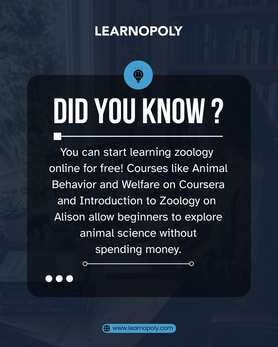 Learnopoly tweet media